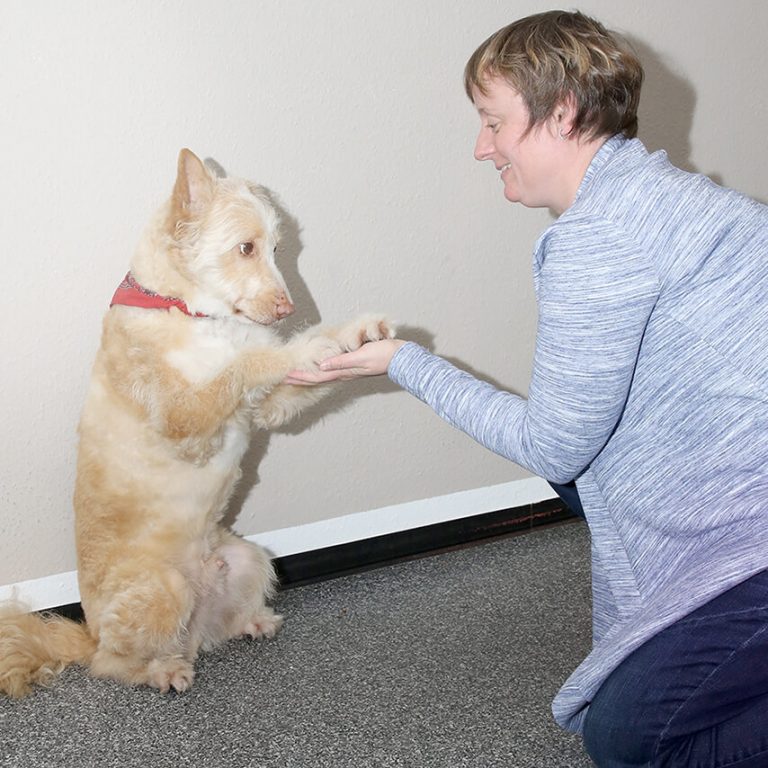 Tiergestützte Therapie mit Hund Bono in der Ergotherapie Kuschel in Köln Ostheim